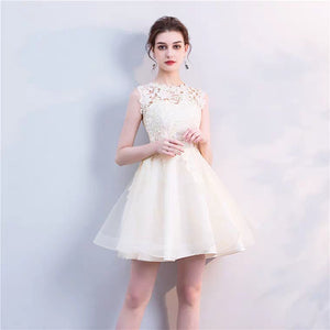 The Ixoria Sleeveless Lace Dress (Available in 4 colours) - WeddingConfetti