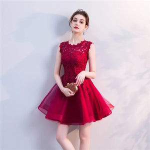 The Ixoria Sleeveless Lace Dress (Available in 4 colours) - WeddingConfetti