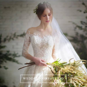 The Demetrios Wedding Bridal White Illusion Gown - WeddingConfetti