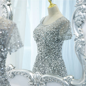 The Laurent Grey Short Sleeves Glitter Gown