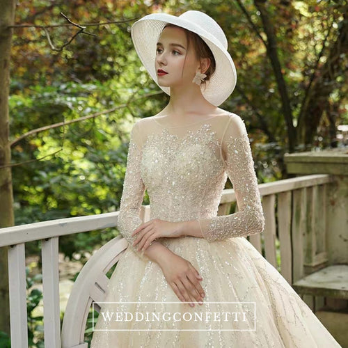 The Chandler Wedding Bridal Long Illusion Sleeves Gown - WeddingConfetti